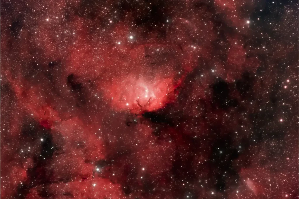 lyran starseed appearance