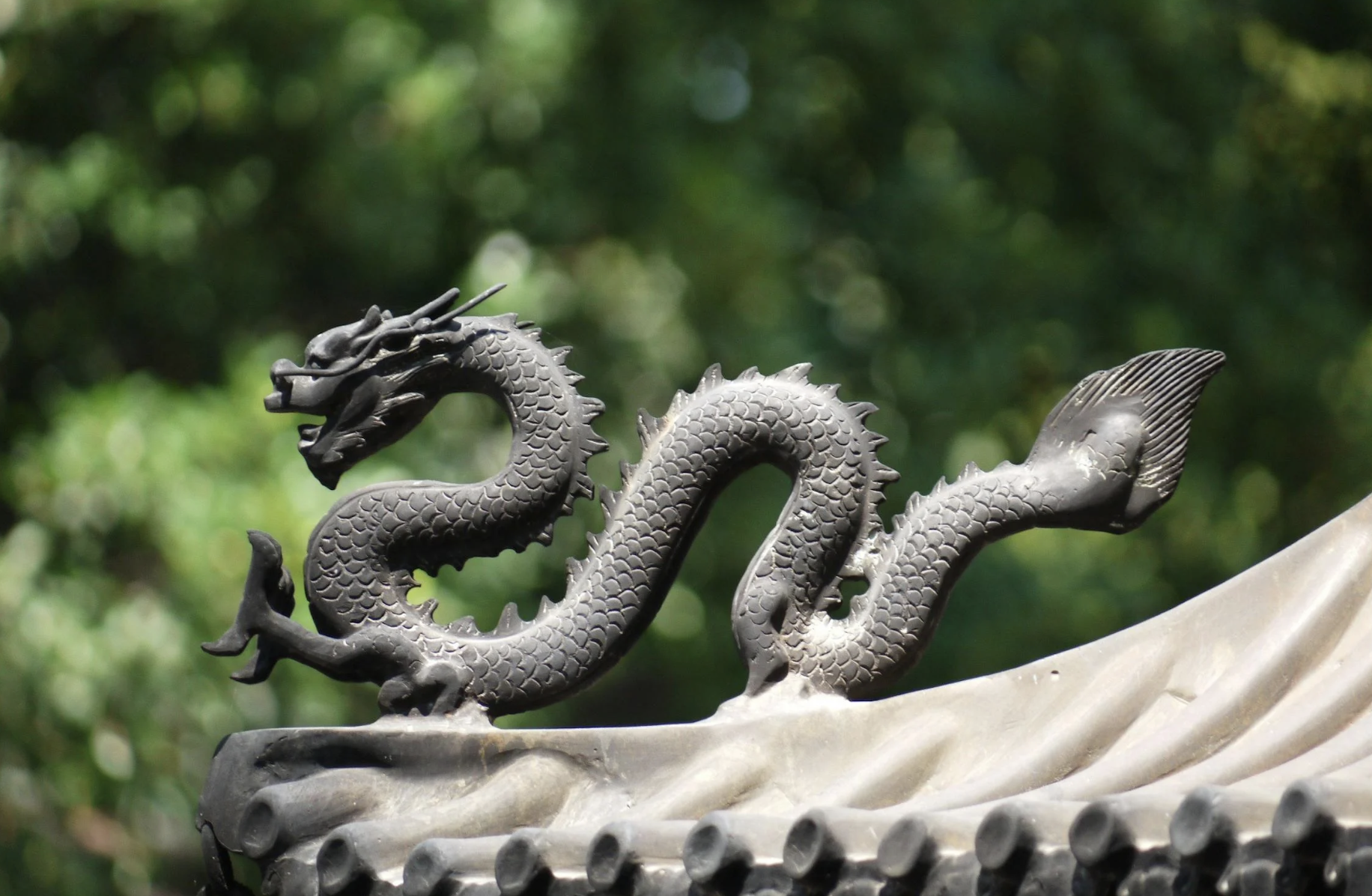 what are draconian starseeds