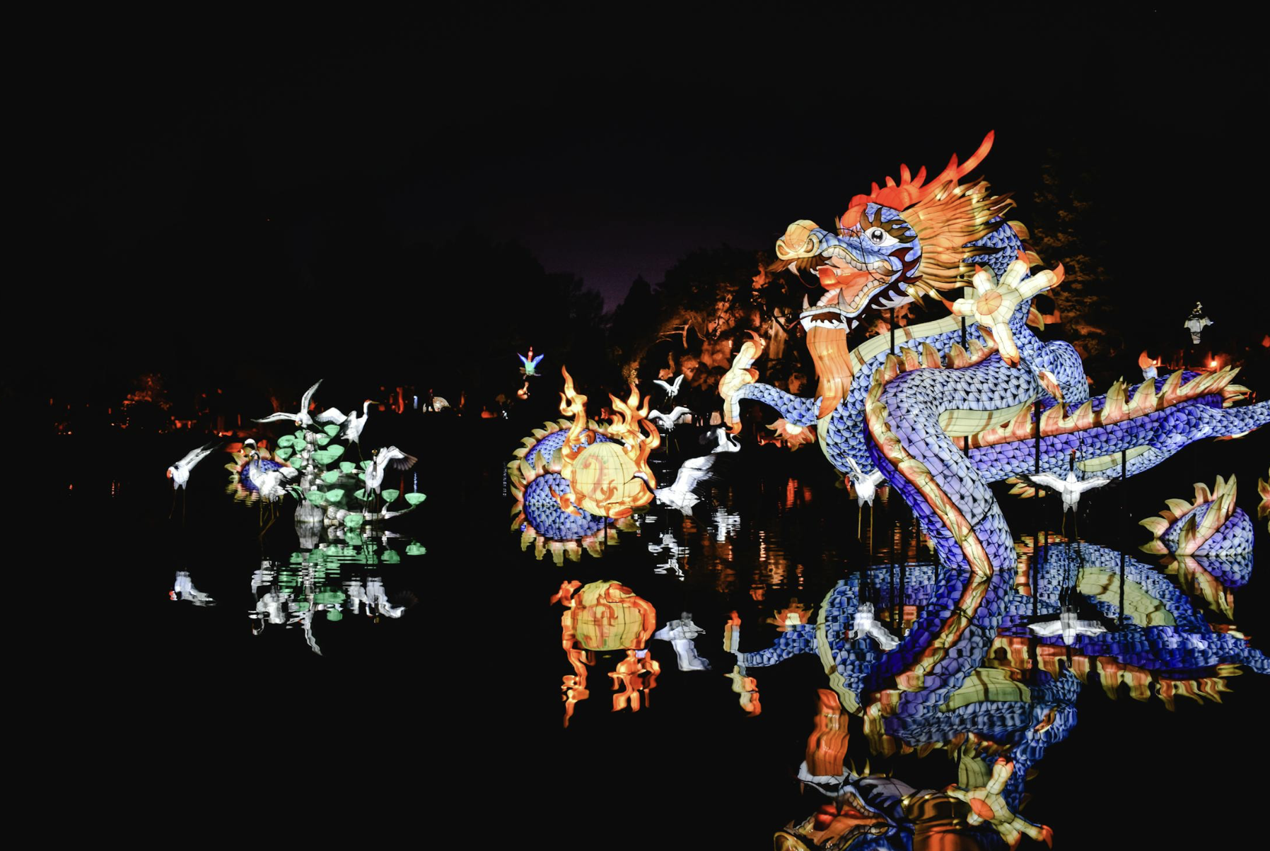 draconian starseed mission