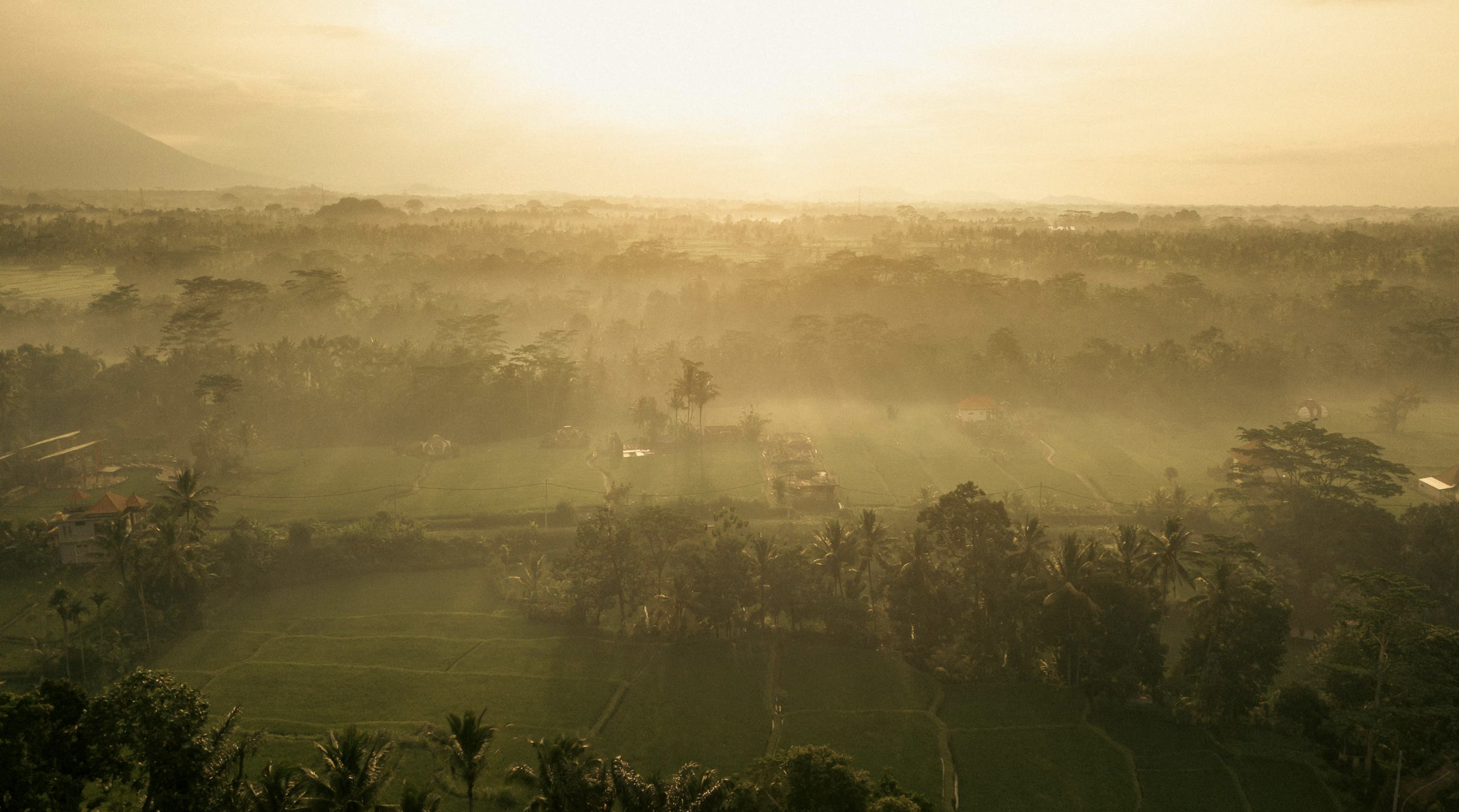 what happens when a starseed dies