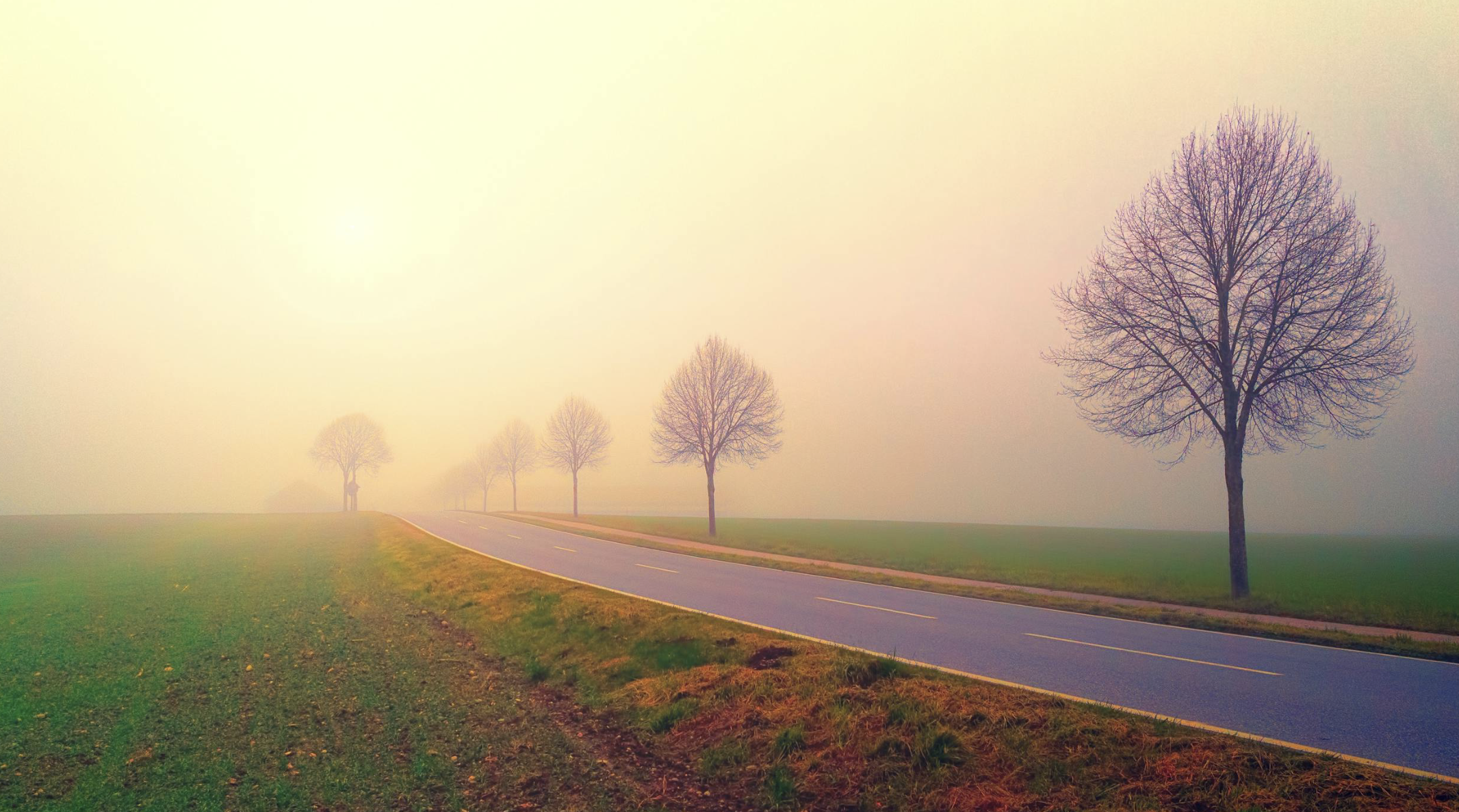 starseed soul journey