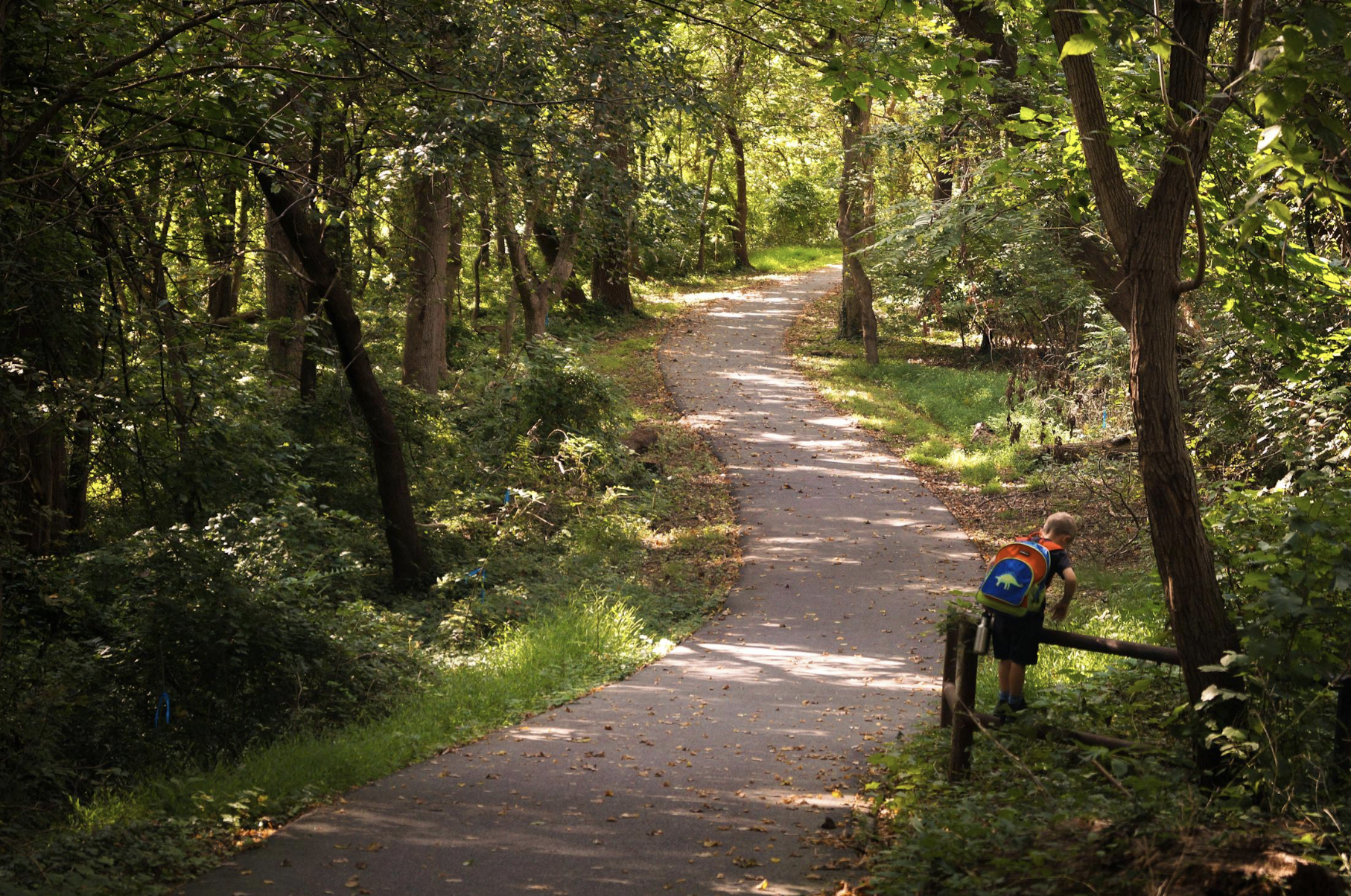 what is a starseed child
