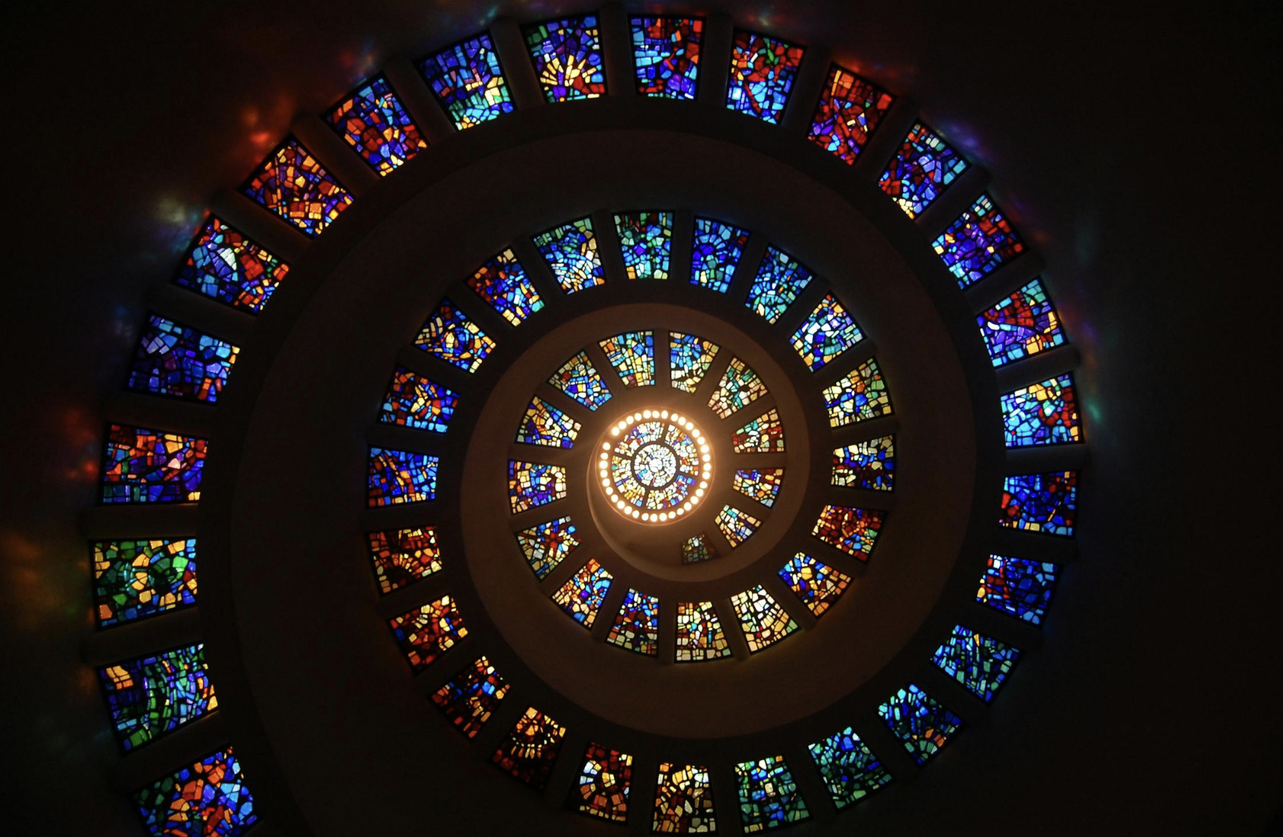 vegan starseed traits