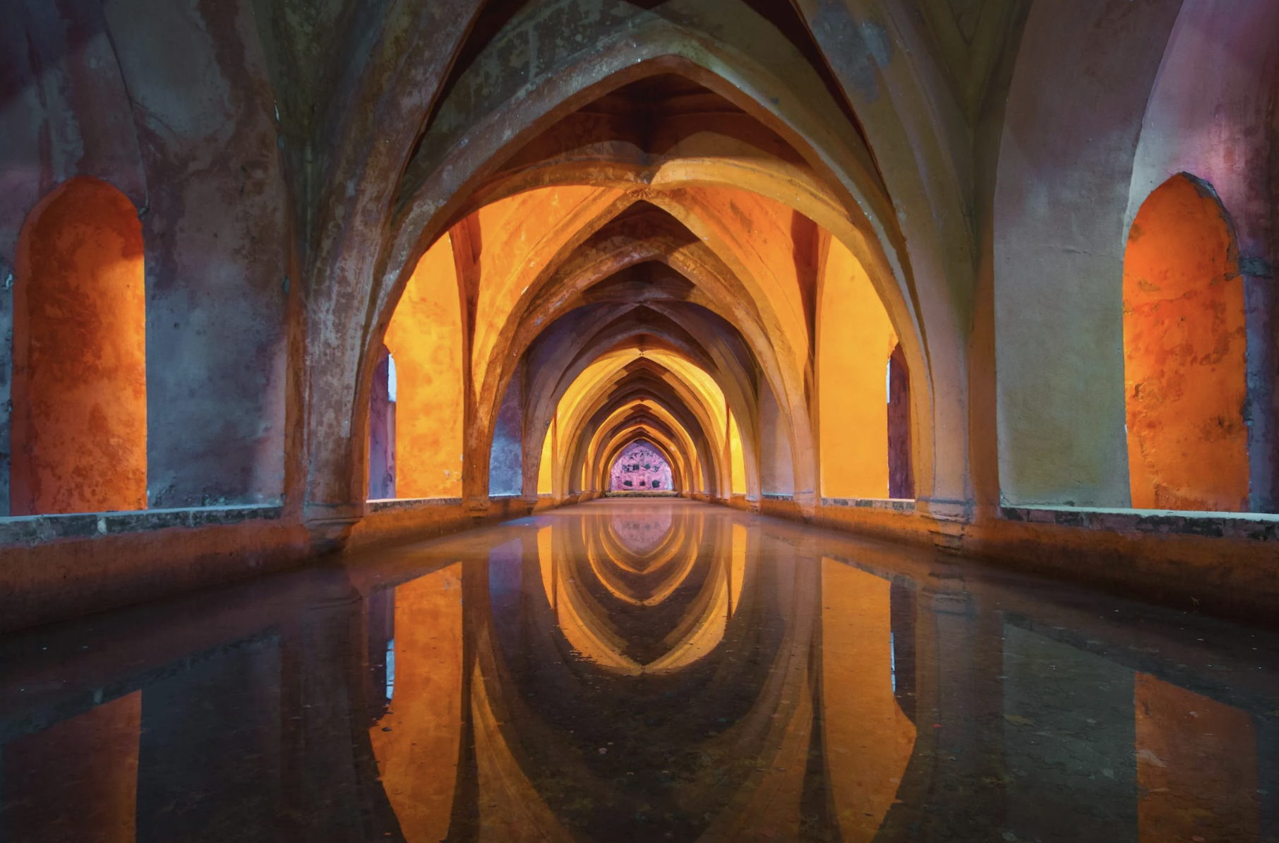 vegan starseed traits