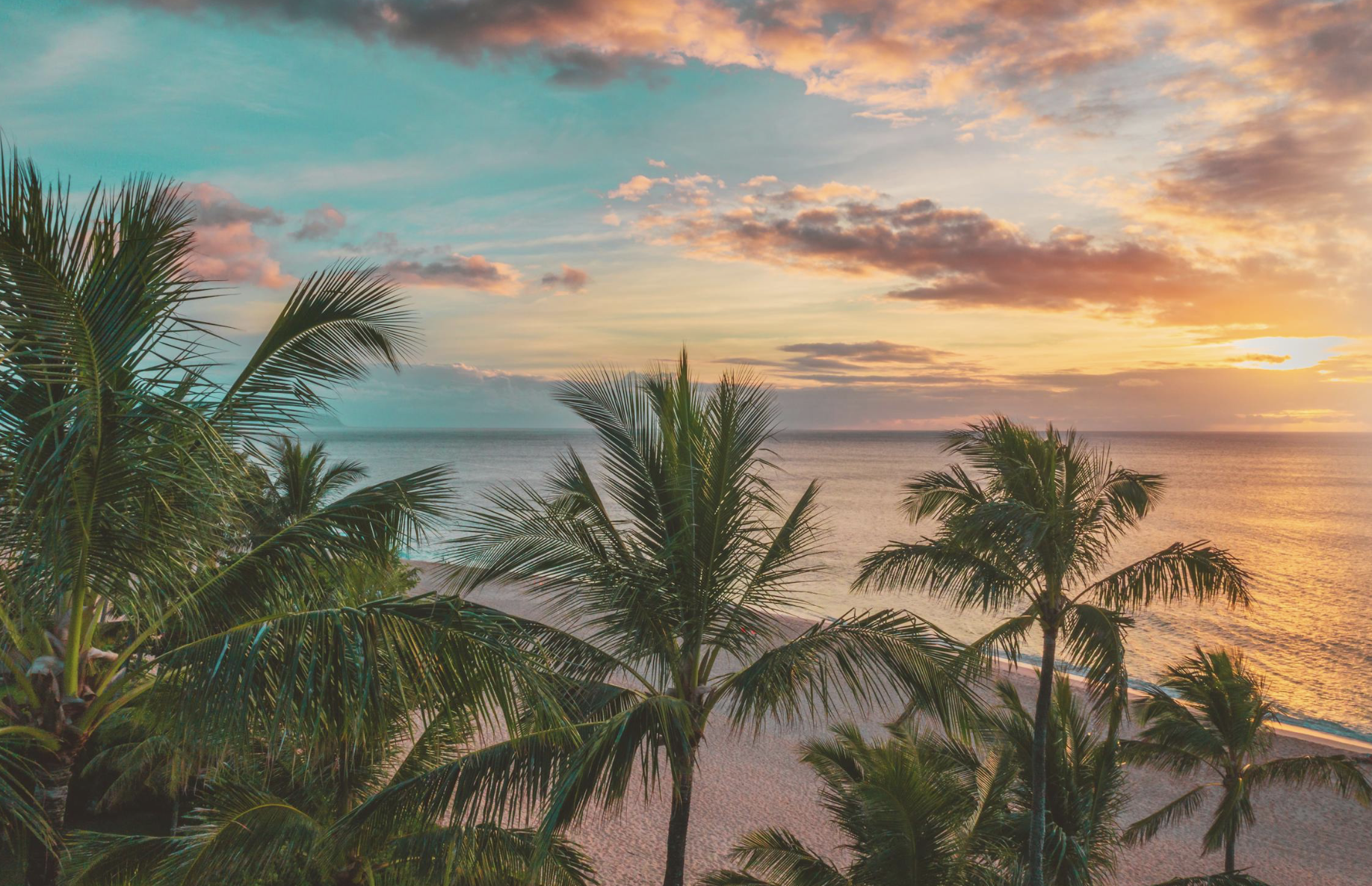 what is a lemurian starseed