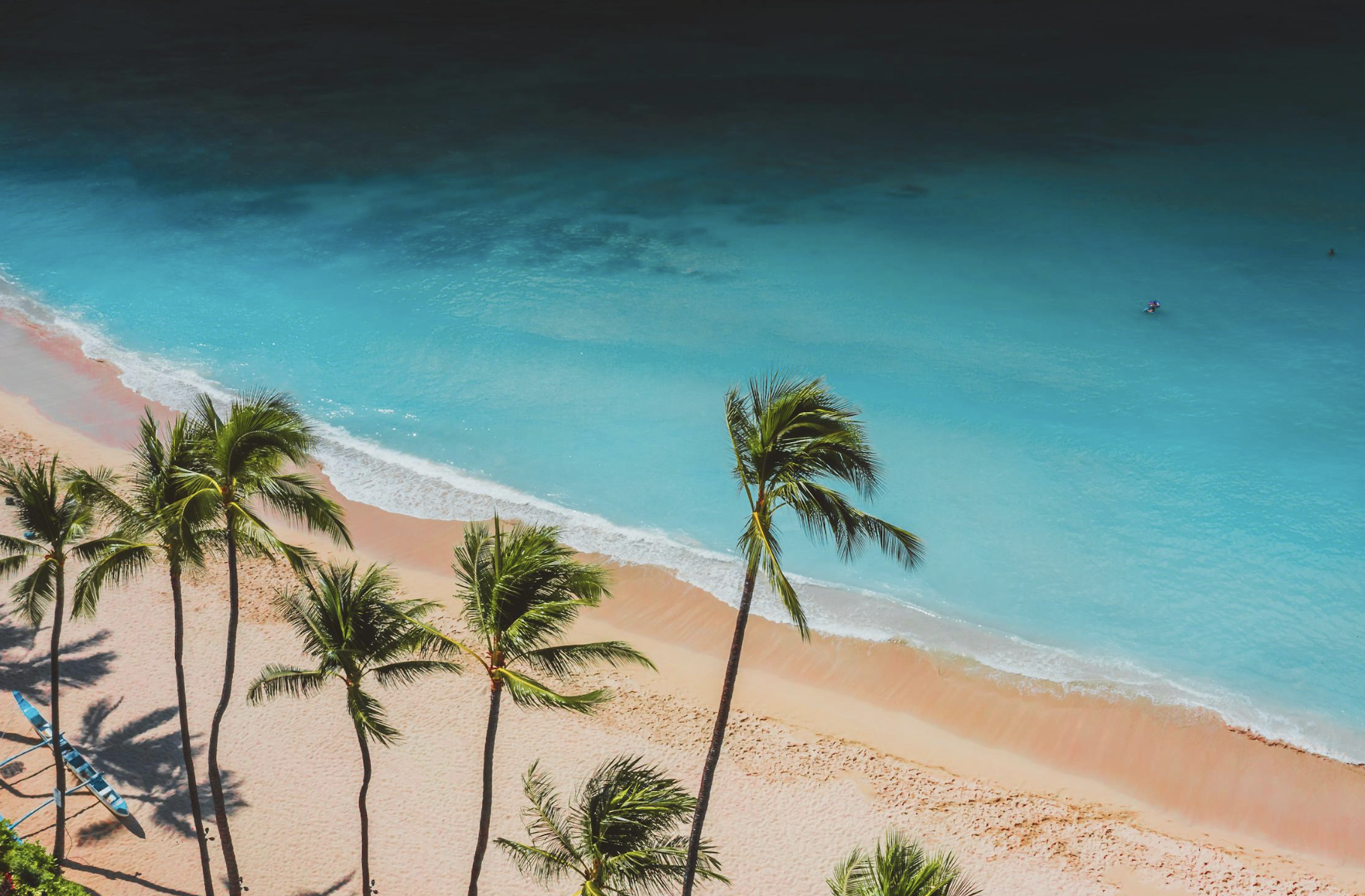 lemurian personality traits