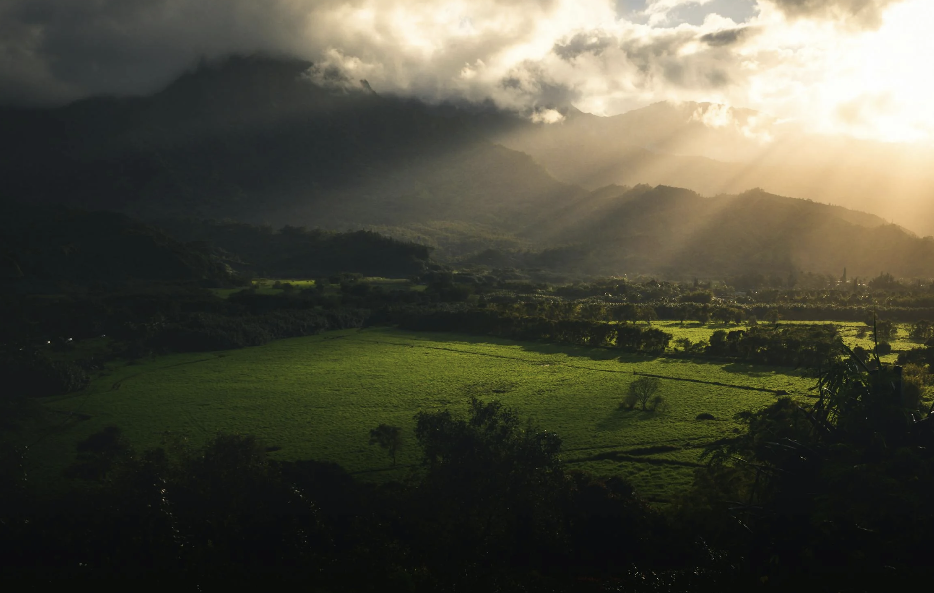 lemurian physical traits