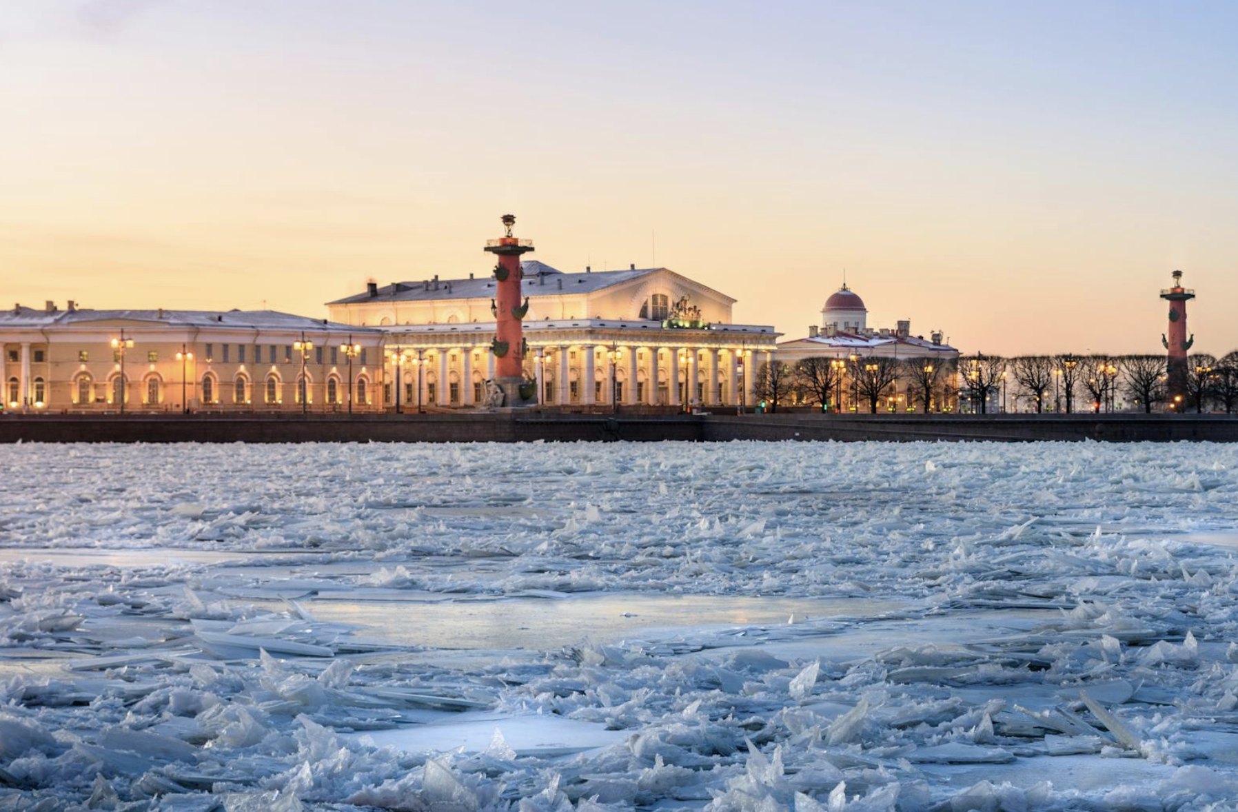 signs you are an arcturian starseed