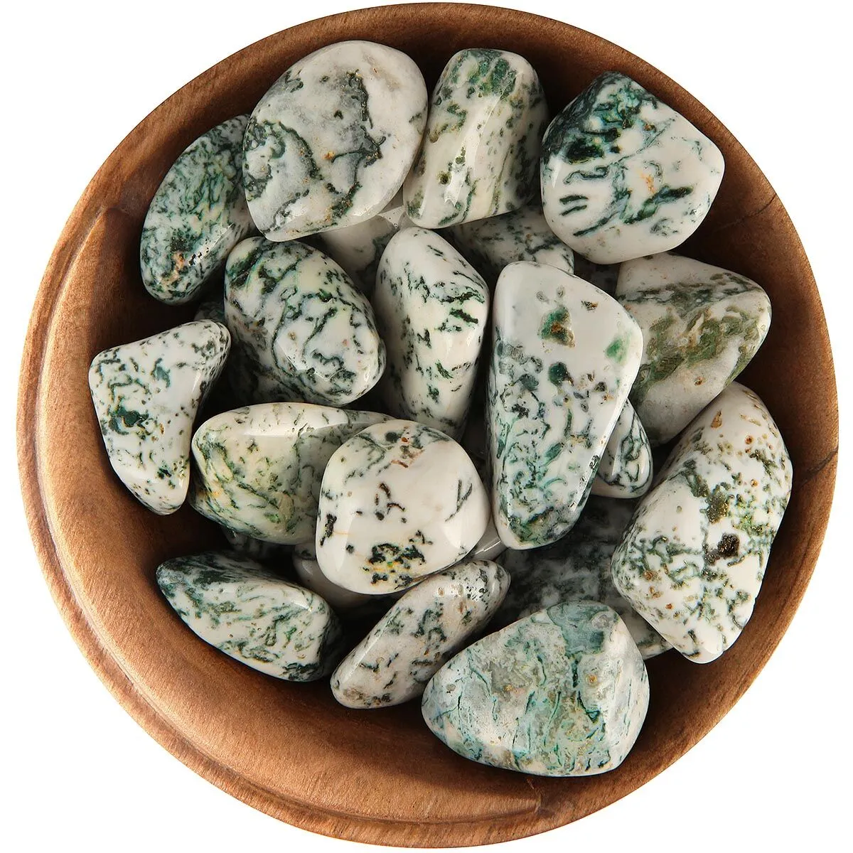 tree agate