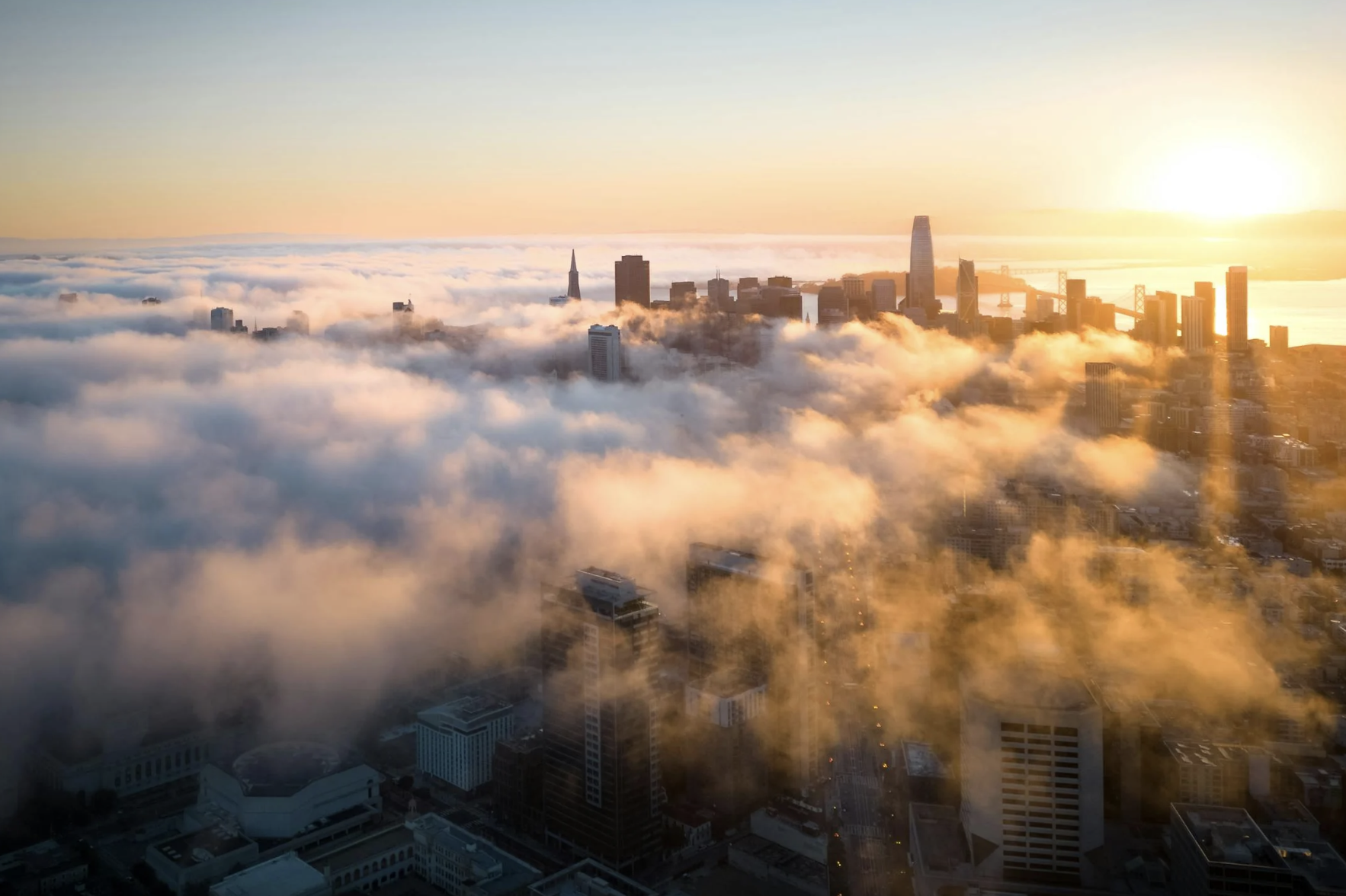 Arcturian personality traits