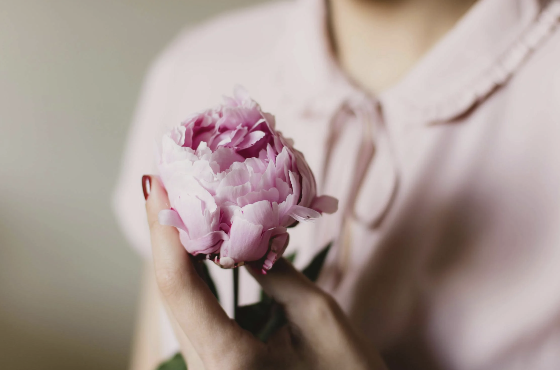 what is a pleiadian starseed