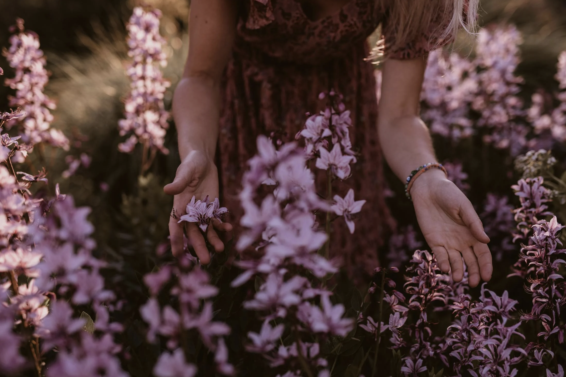 pleiadian personality traits