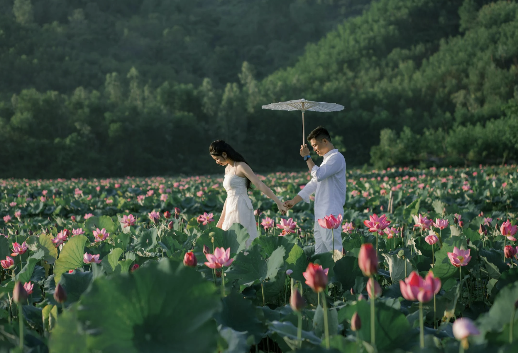 starseed personality traits