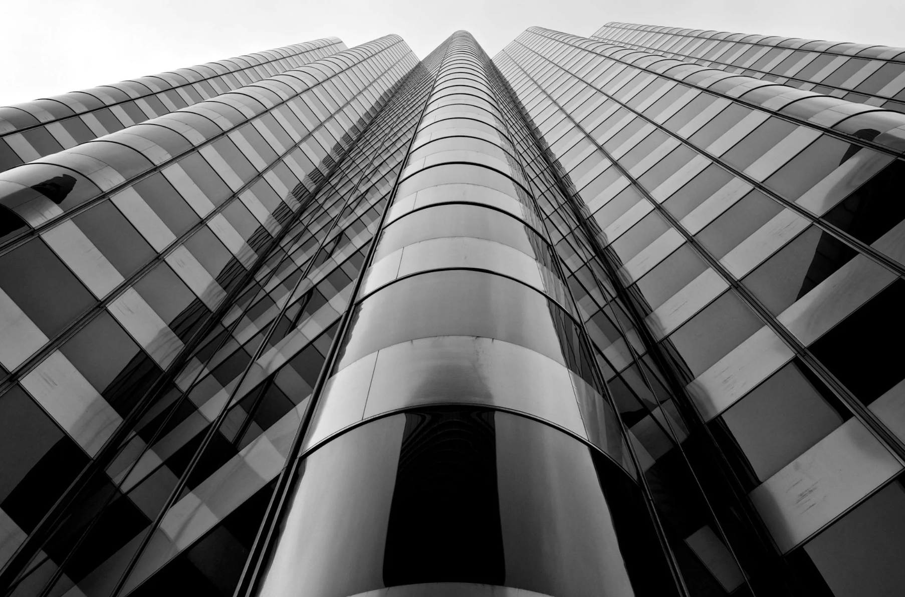 zeta reticulan starseeds