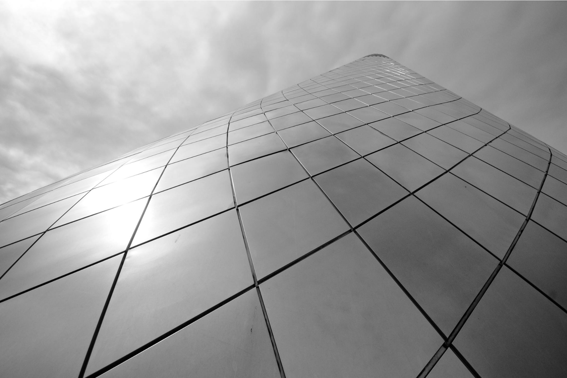 what is a grey starseed