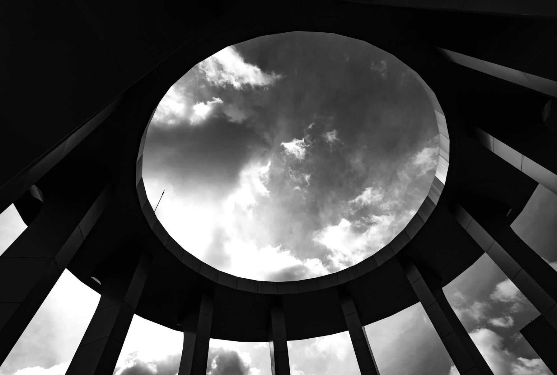 what is a grey starseed