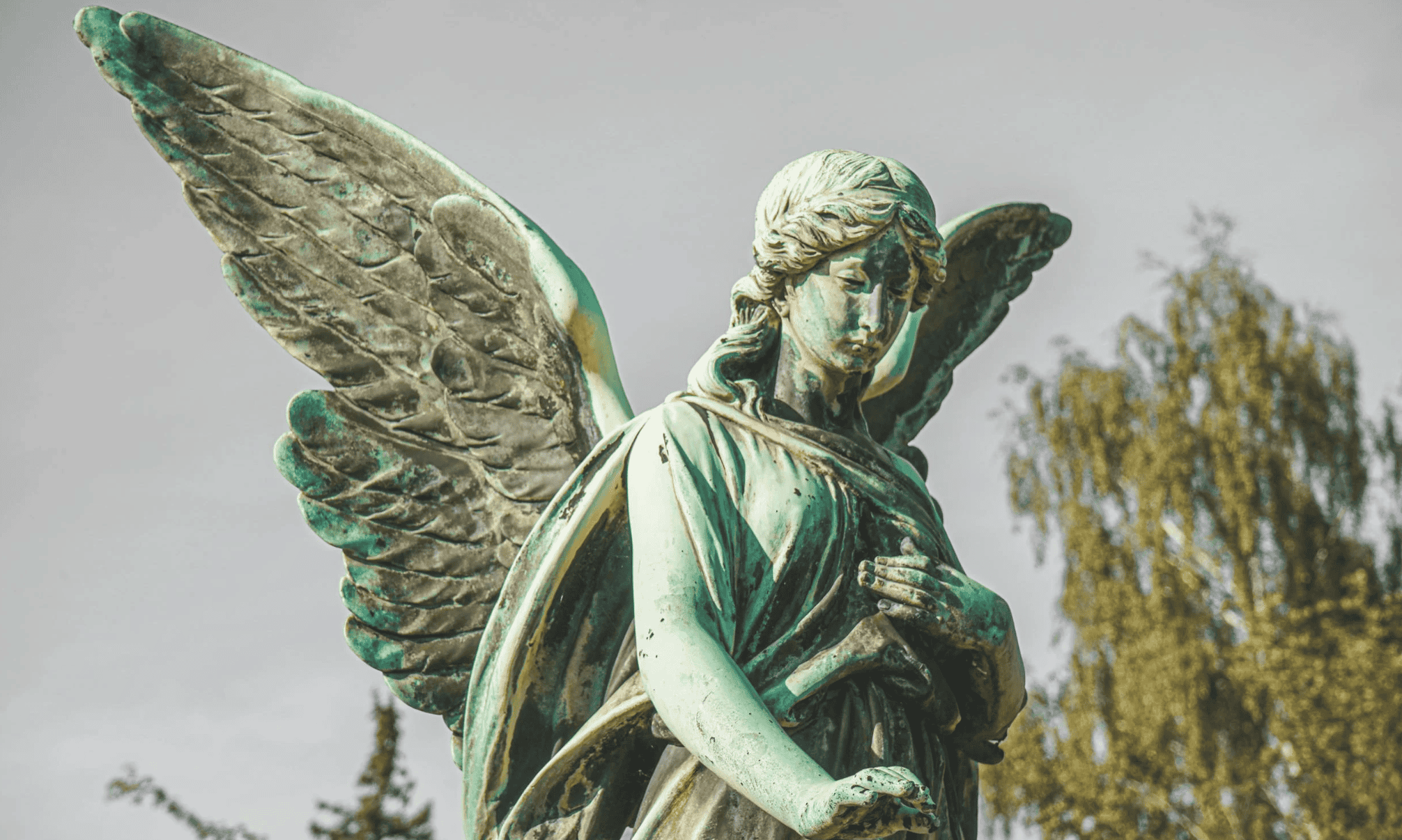 starseed characteristics