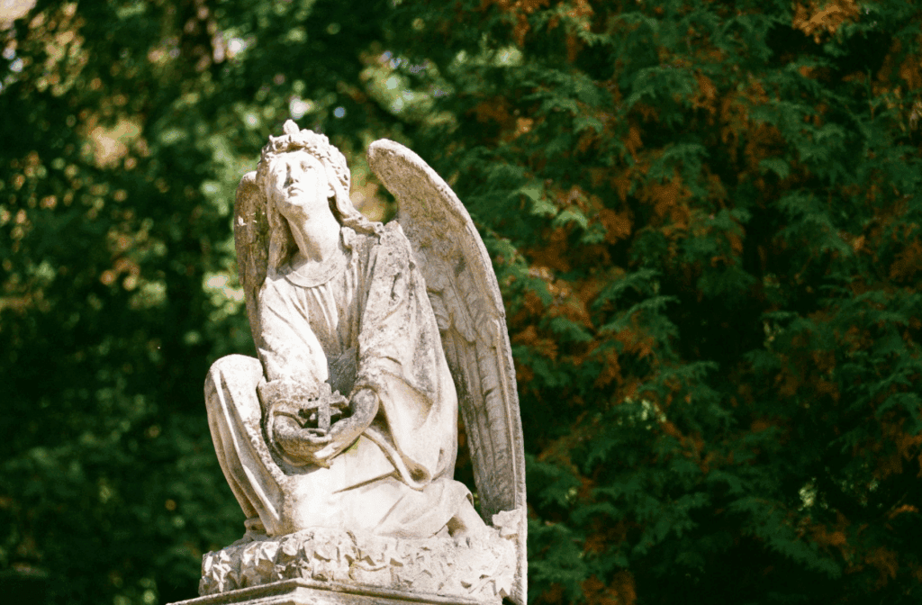 what is an angelic starseed