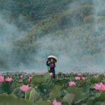 what is a pleiadian starseed