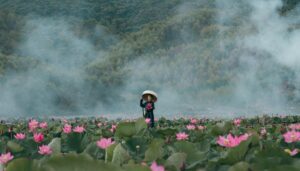 what is a pleiadian starseed