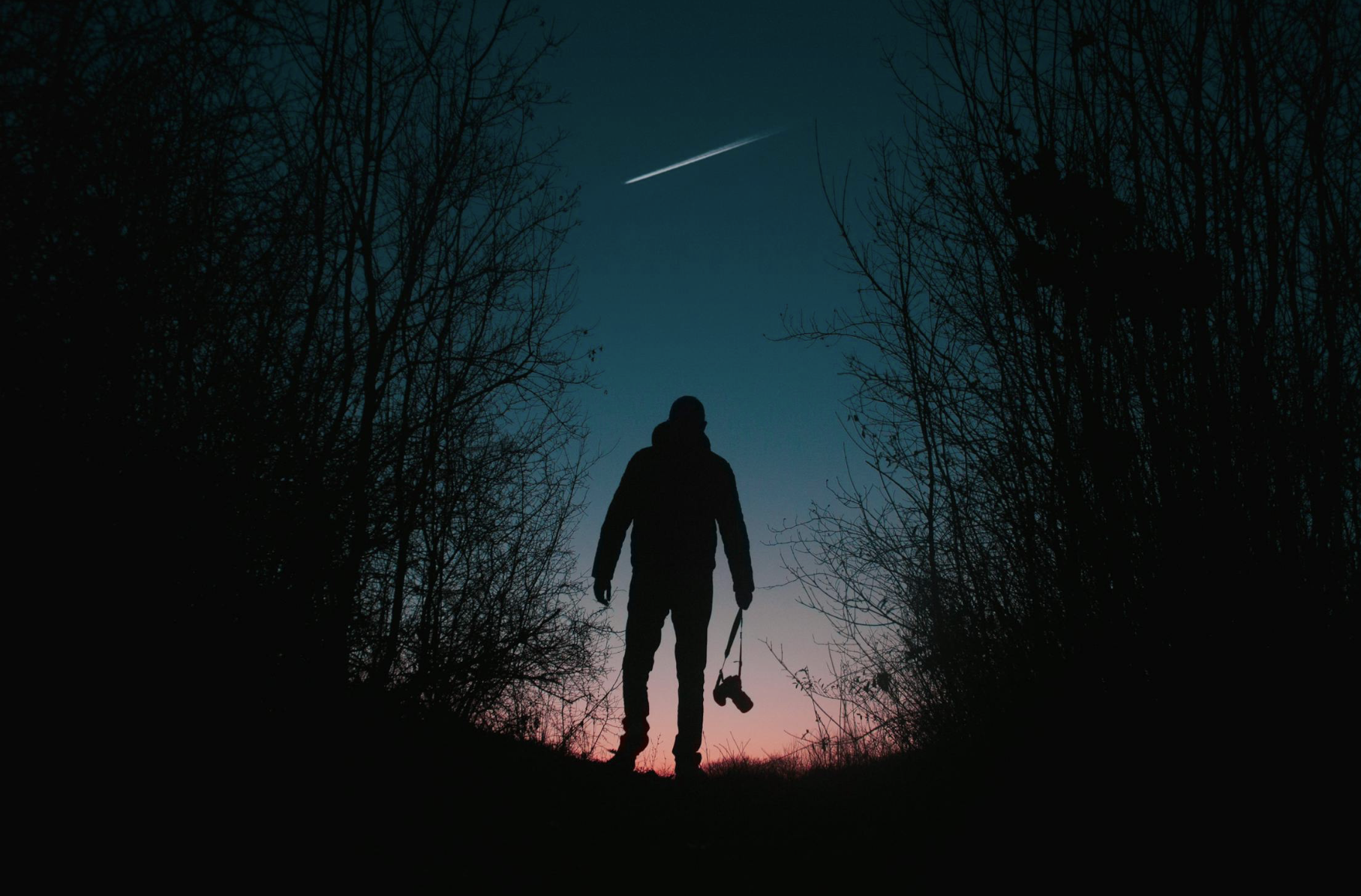 starseed physical traits