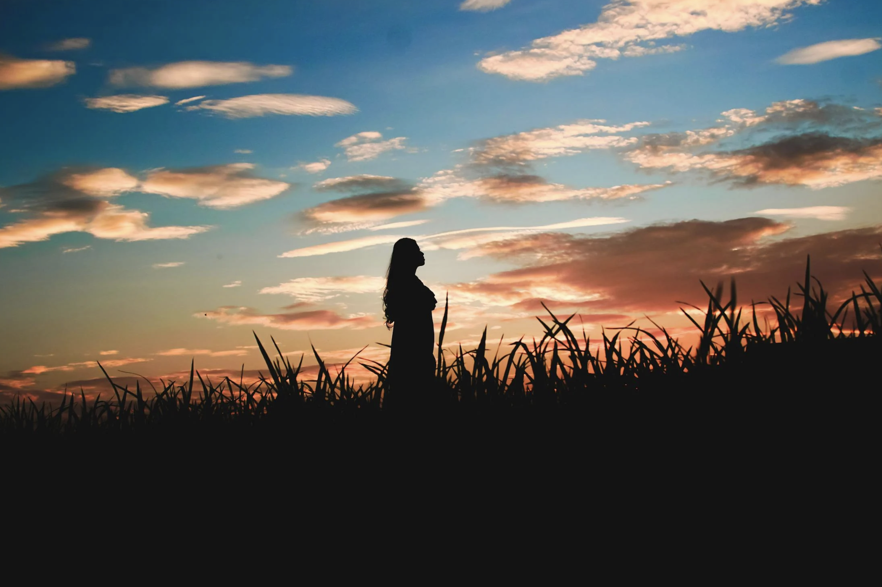 signs you are a starseed