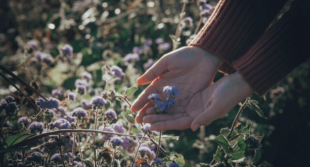 pleiadian starseed birthmarks