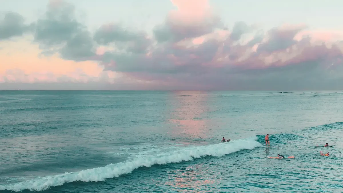 sirian personality traits