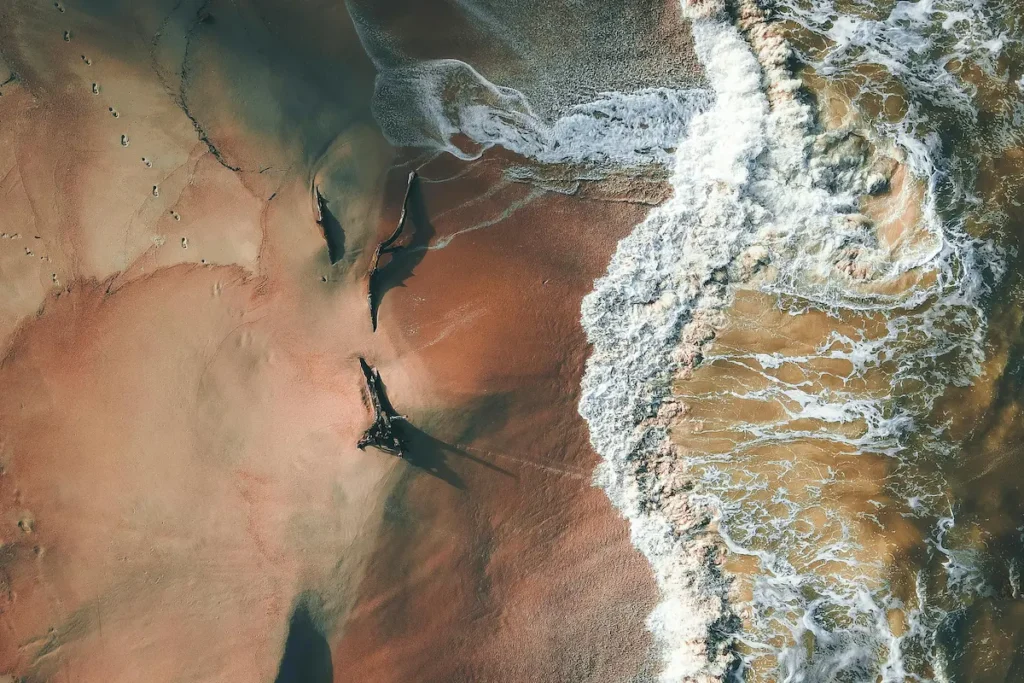 Beta Centaurian starseeds