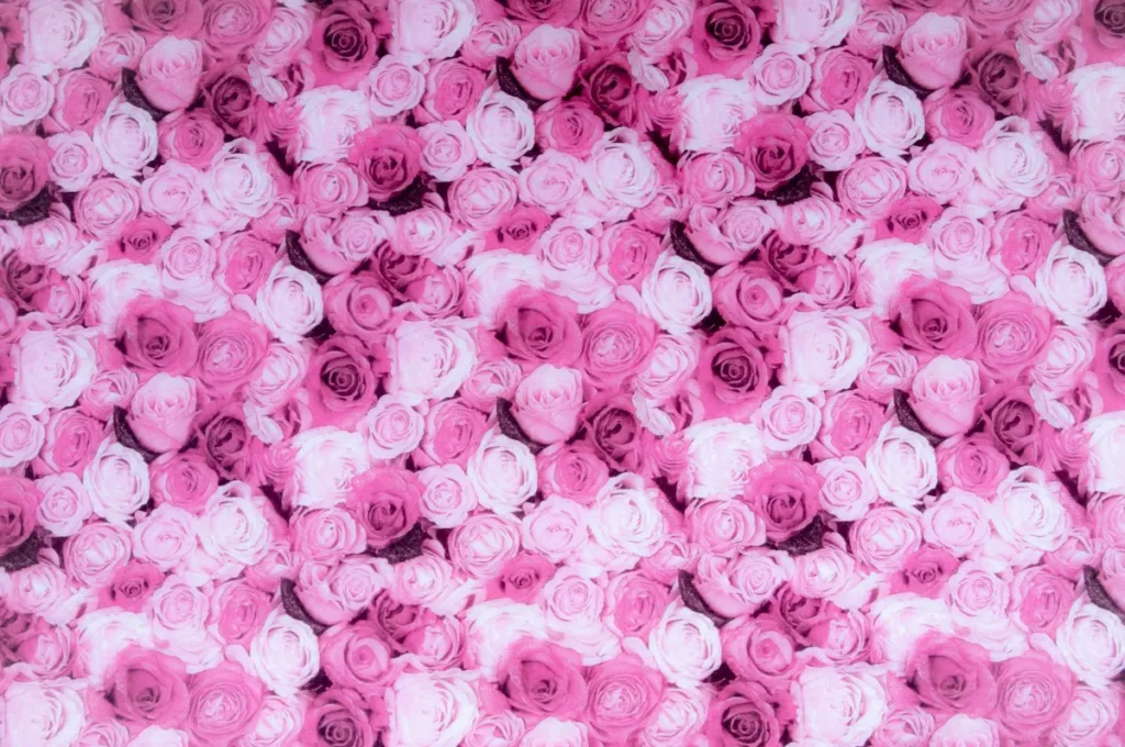 pleiadian starseed traits