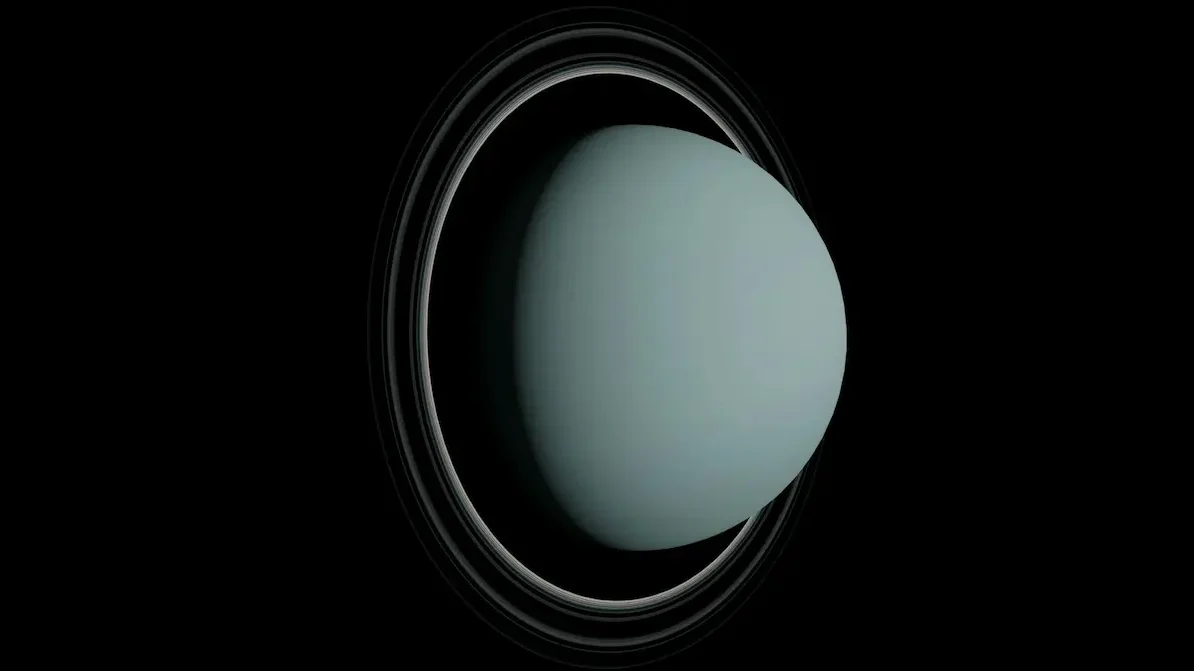 type of starseed