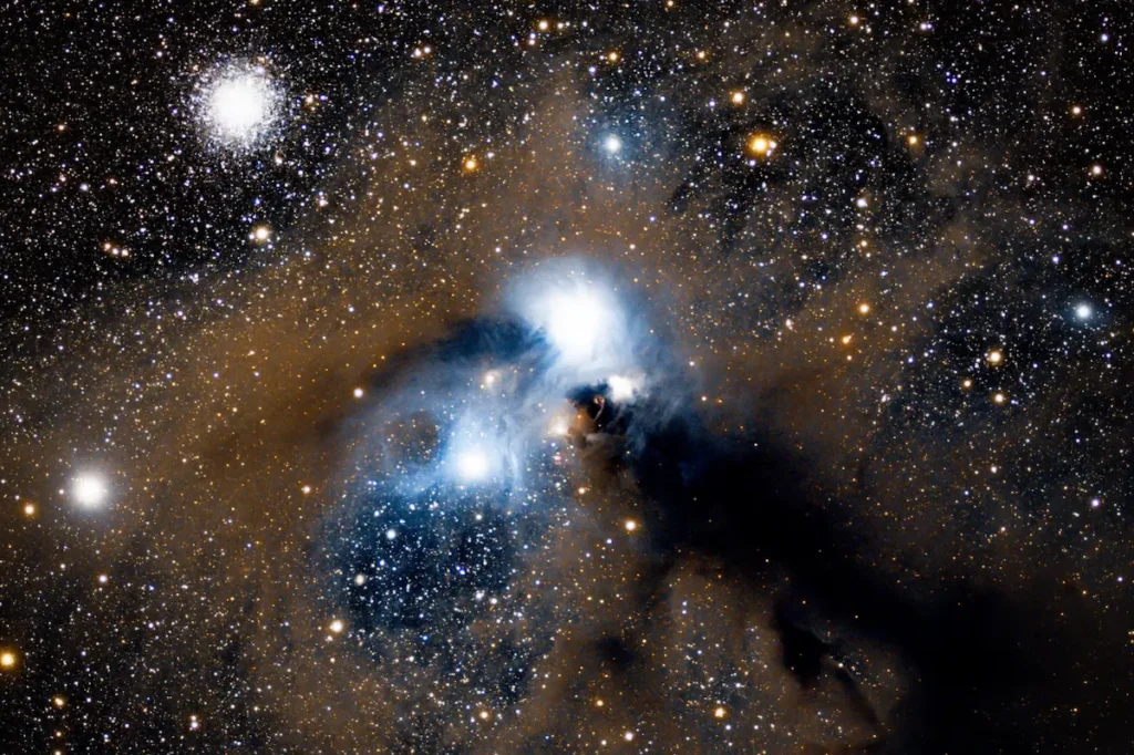 nebula starseed